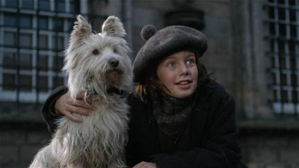 The Adventures of Greyfriars Bobby poster