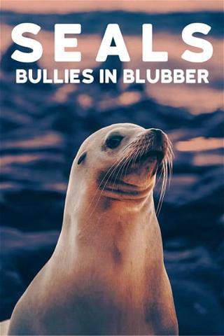 Seals : Bullies in Blubber poster