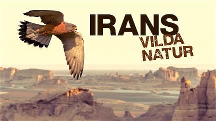 Irans ville natur poster