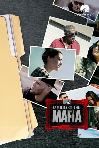 Families of the Mafia poster