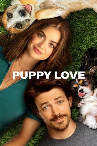 Puppy Love - Hunde zum Verlieben poster