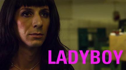 Ladyboy poster