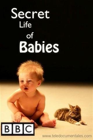La vida secreta de los bebés poster