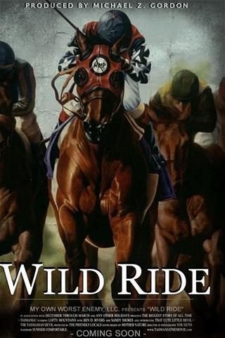 Wild Ride poster