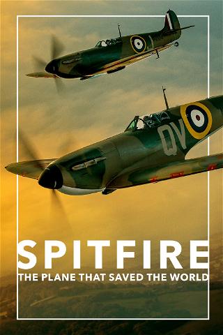 SPITFIRE: The Plane That Saved the World poster