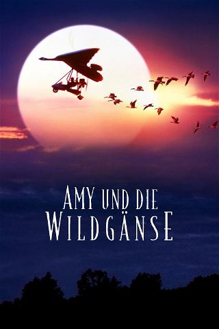 Amy und die Wildgänse poster