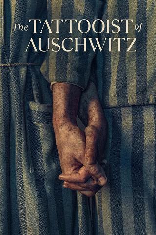 O tatuador de Auschwitz poster