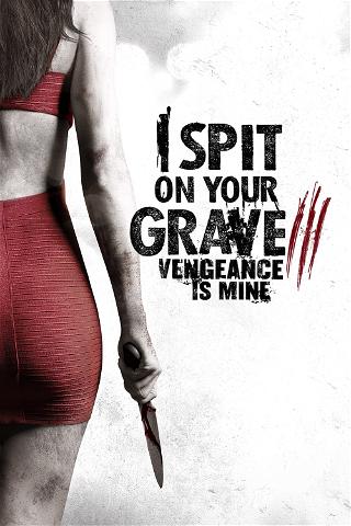 I spit on your grave III - Vengeance is mine poster