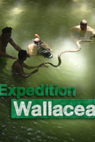 Wallacea - Expedition zur Wiege der Meeresfauna poster