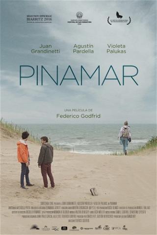 Pinamar poster