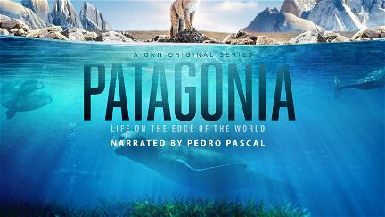 Patagonia poster