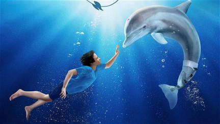 L'incroyable histoire de Winter le dauphin poster