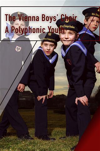 The Vienna Boys' Choir - A Polyphonic Youth poster