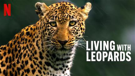 Avec les léopards poster