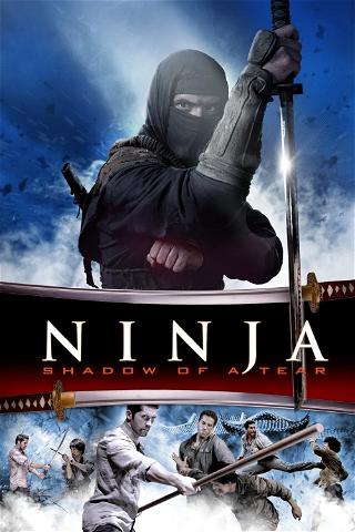 Ninja 2: Ombre d'une déchirure poster