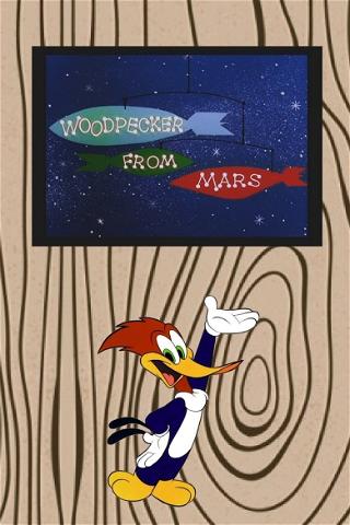 Woodpecker from Mars poster