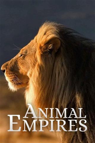 Animal Empires poster