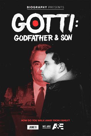 Godfather & søn - hvordan siger man op i mafiaen? poster