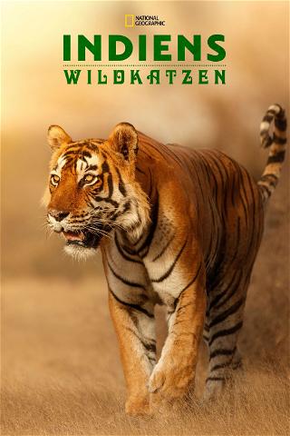 Die Wildkatzen Indiens poster
