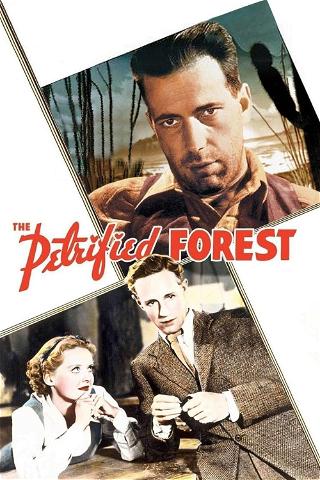 The Petrified Forest (1936) poster