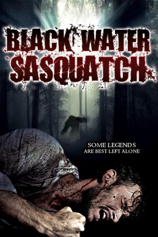 Black Water Creek poster