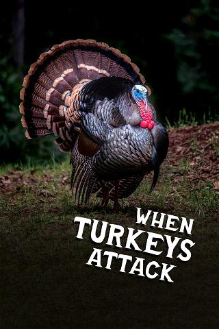 When Turkeys Attack poster