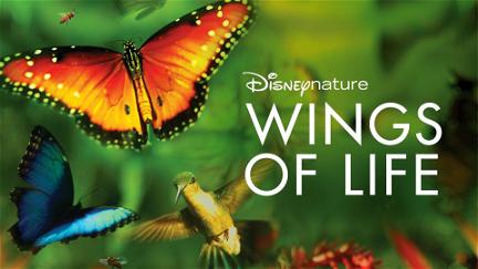 Disneynature Wings of Life poster