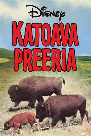 Katoava preeria poster