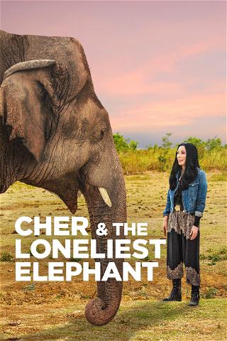Cher y el elefante solitario poster
