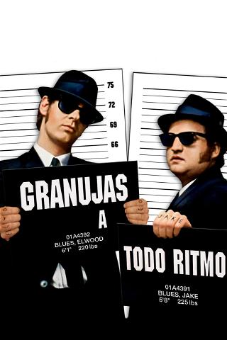 Granujas a todo ritmo (The Blues Brothers) poster