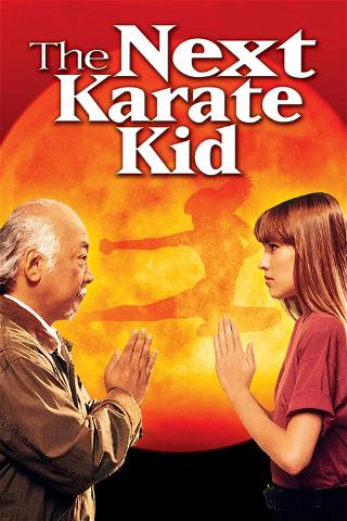 The Next Karate Kid poster
