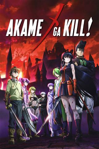 Akame ga Kill - Schwerter der Assassinen poster