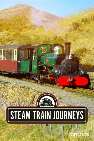 Steam Train Journeys poster