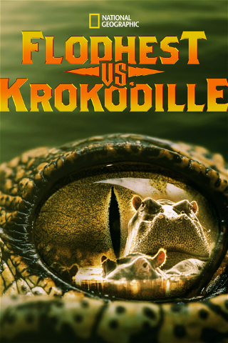 Flodhest vs. krokodille poster