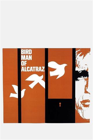 Ptasznik z alcatraz poster