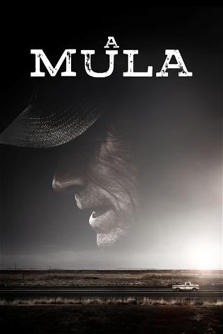 A Mula poster