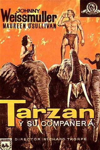 Tarzán y su compañera poster
