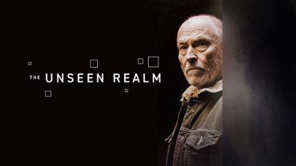 The Unseen Realm poster