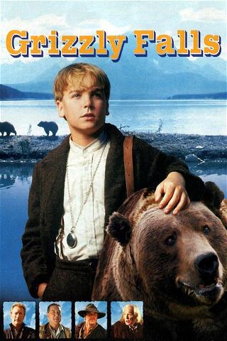 Grizzly Falls - La valle degli orsi poster