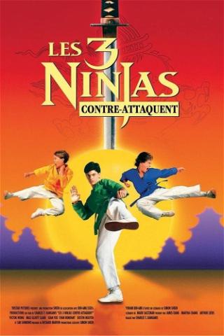 Ninja Kids 2 : Les 3 Ninjas contre-attaquent poster