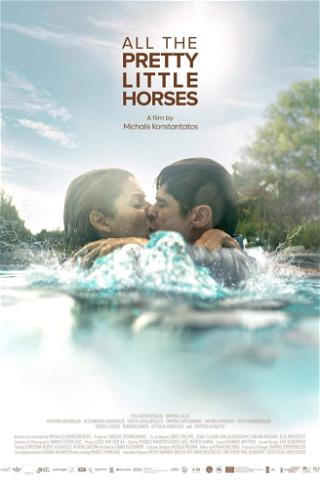 All the Pretty Little Horses poster