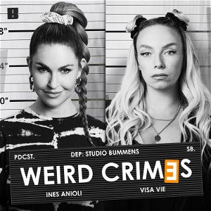Weird Crimes poster