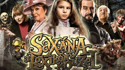 Saxana und die Reise ins Märchenland poster