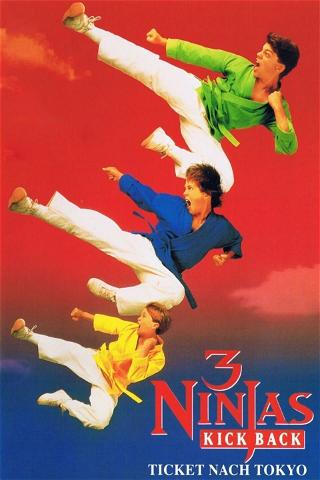 3 Ninjas – Kick Back poster