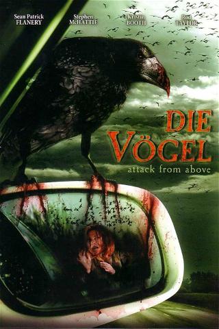 Die Vögel - Attack from above poster
