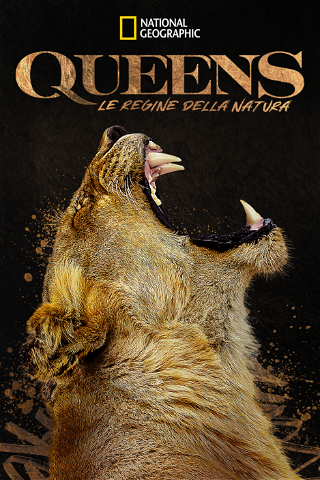 Queens: le regine della natura poster