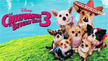 Chihuahuan från Beverly Hills 3 poster
