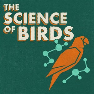 The Science of Birds poster