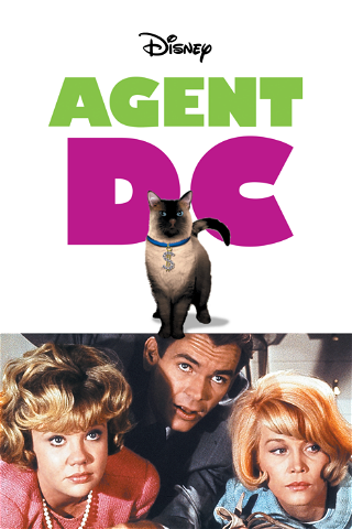 Agent D.C. poster