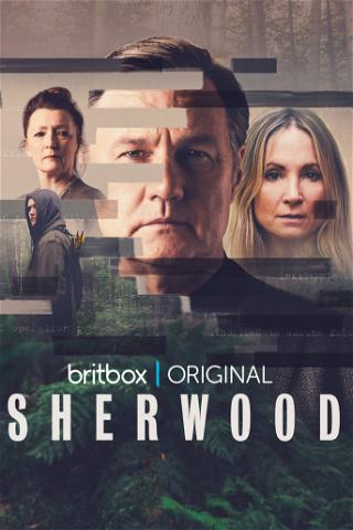 Sherwood poster